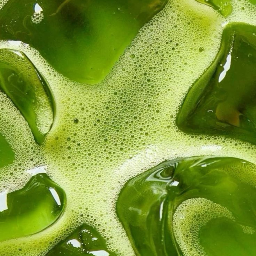 Matcha Ceramonial Grade